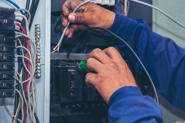 Best Electric Panel Repair  in Delavan Lake, WI